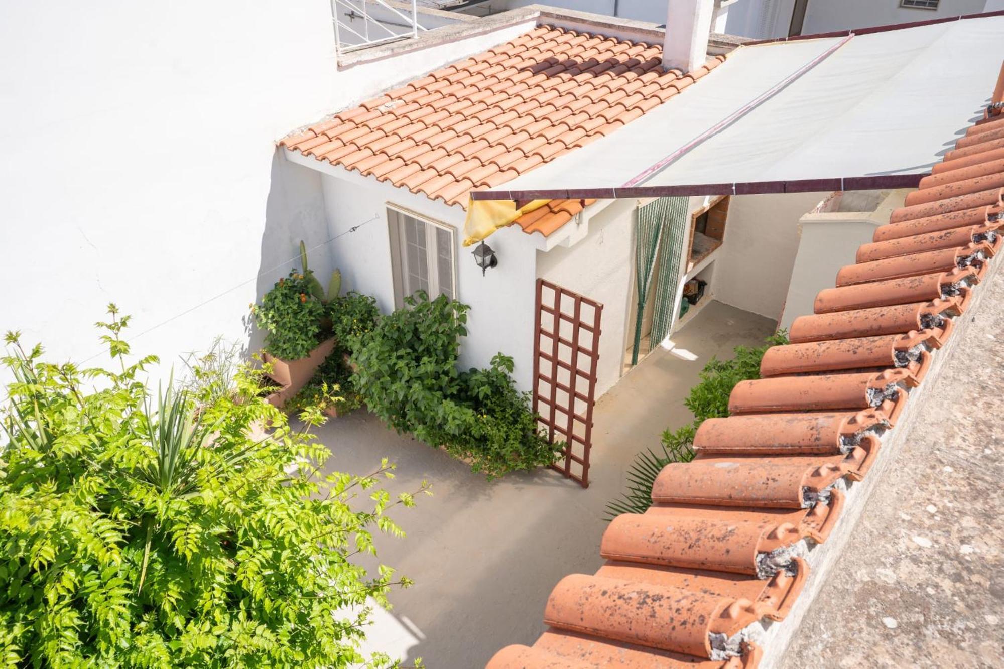 Villa Camilla Porto Cesareo Esterno foto